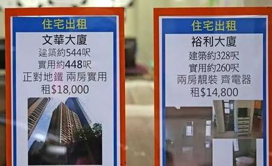 未曾見過香港人居，方知尋常生活貴